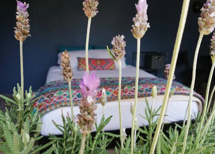 In House - Lavanda Polanco, The That You Deserve Guest house