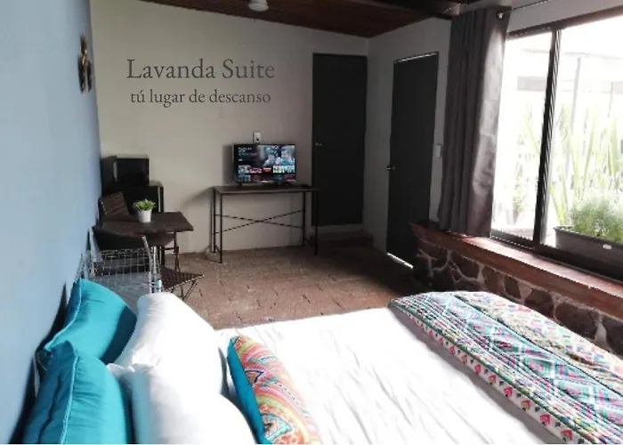 In House - Lavanda Polanco, The That You Deserve *